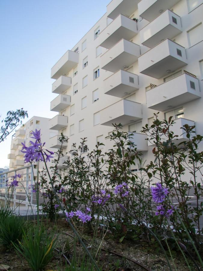 Luce Gold Apartment Zadar Zewnętrze zdjęcie