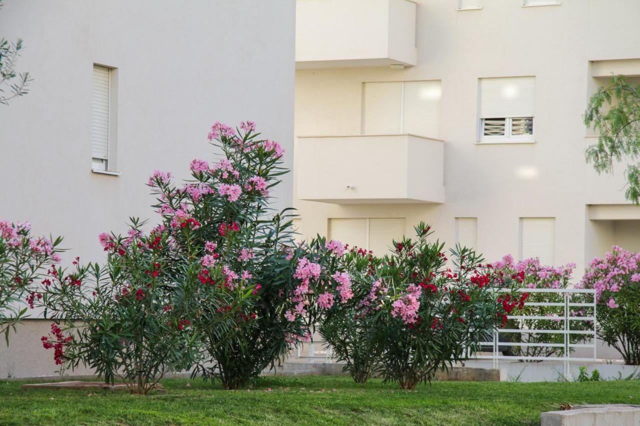 Luce Gold Apartment Zadar Zewnętrze zdjęcie